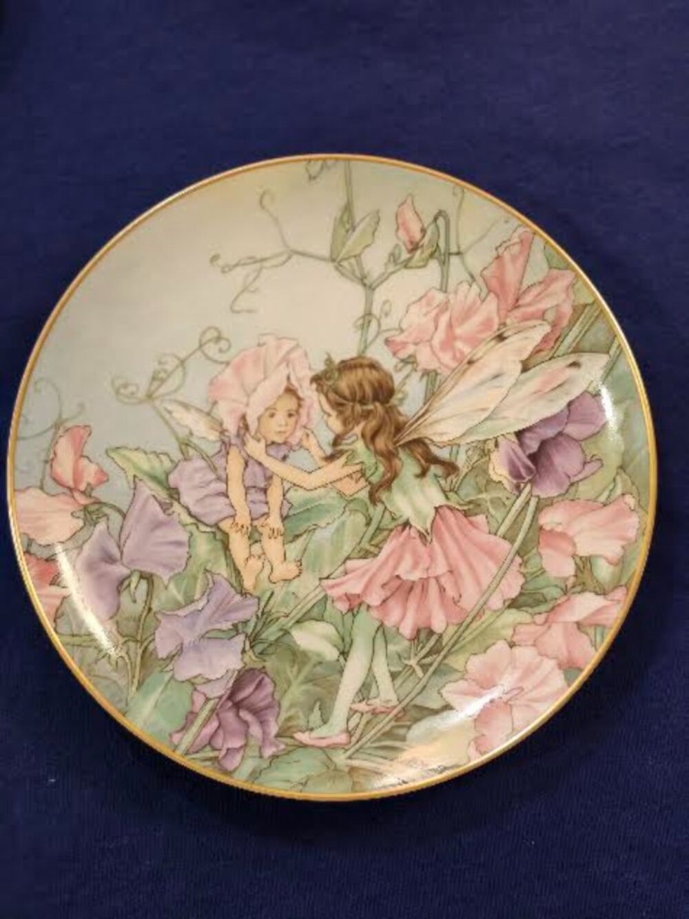 Vintage Collector Plates Lot of 2 [Villeroy & Boch Fairy] & [Rusty Money]